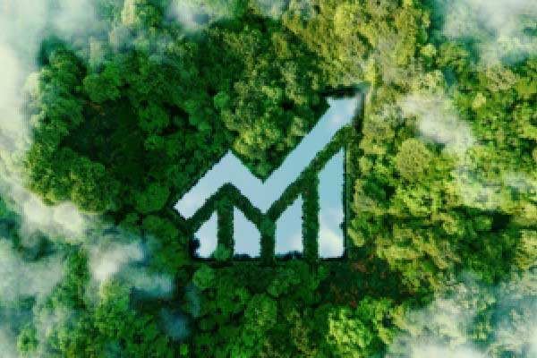 芯导科技2025年报:归母净利润1.06亿元,下降4.9%